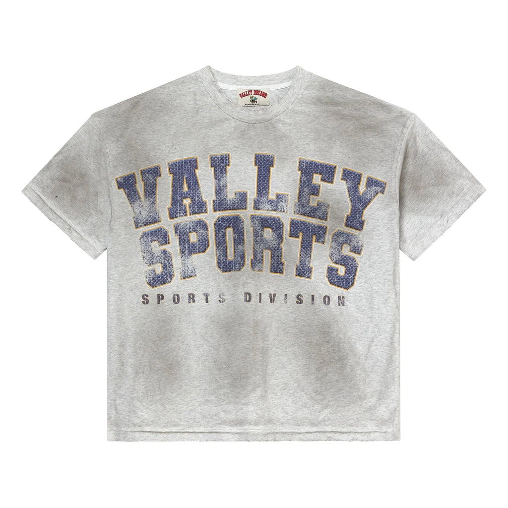 Vale Gym Grey Sports Division Tee