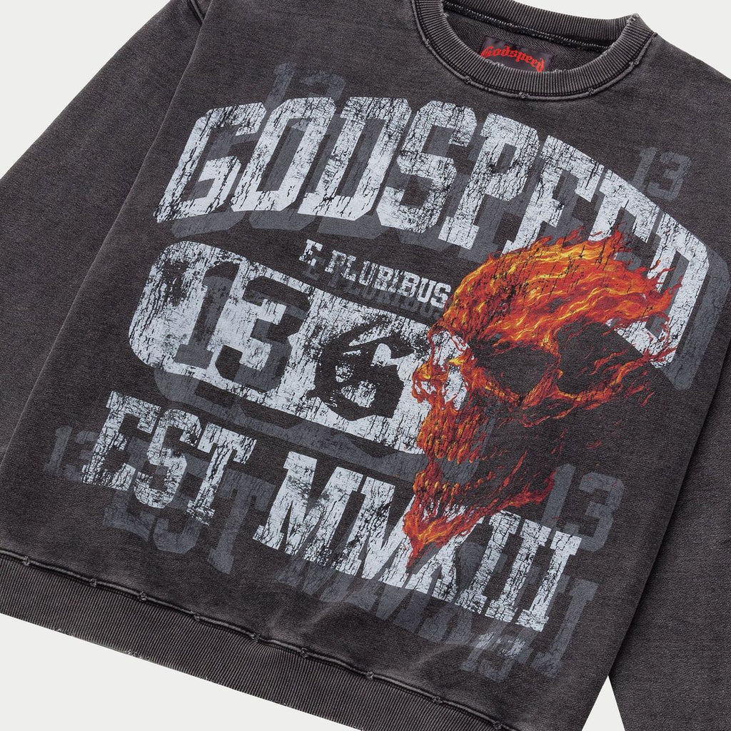 Godspeed Washed Grey Seeing Double Crewneck — detail view 2